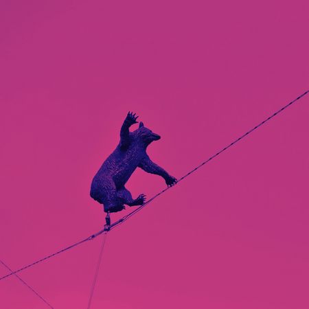 [Translate to Französisch:] Headerbild Über Uns, Bären-Skulptur auf Seil