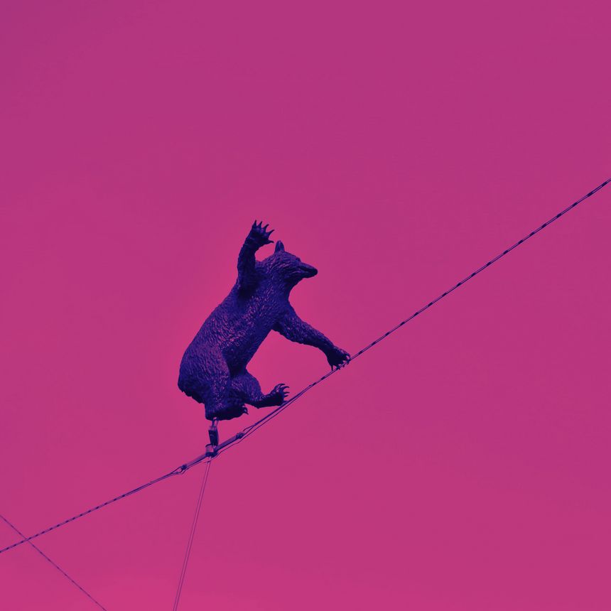 Headerbild Über Uns, Bären-Skulptur auf Seil