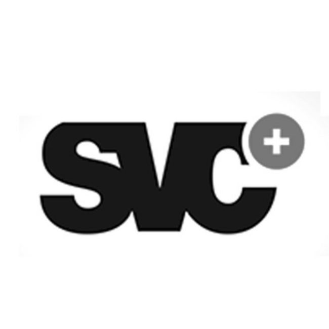 Logo Swiss Venture Club SVC